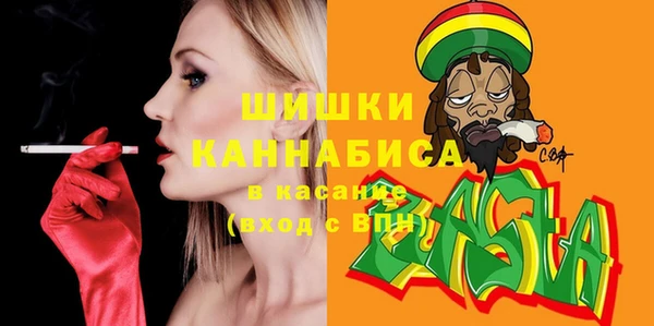 дмт Карпинск
