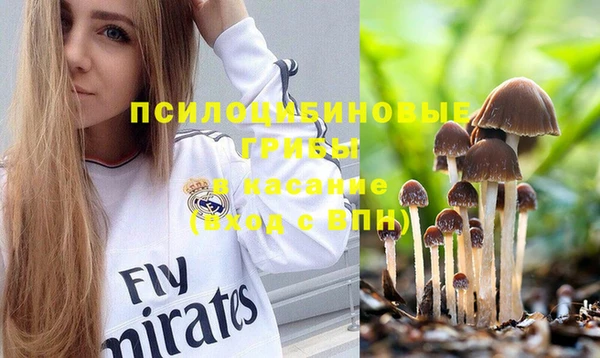 прущая мука Каменка