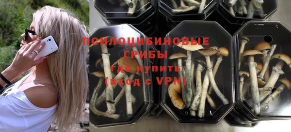 бутират Каменск-Шахтинский