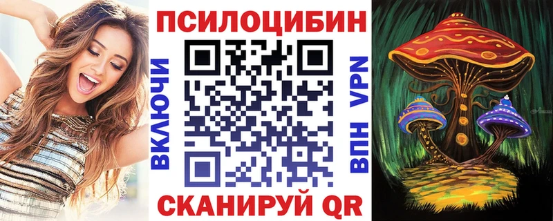 Псилоцибиновые грибы мицелий  Купить  Западная Двина 