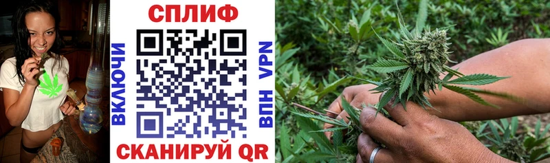 Бошки Шишки Bruce Banner  Купить закладки  Западная Двина 